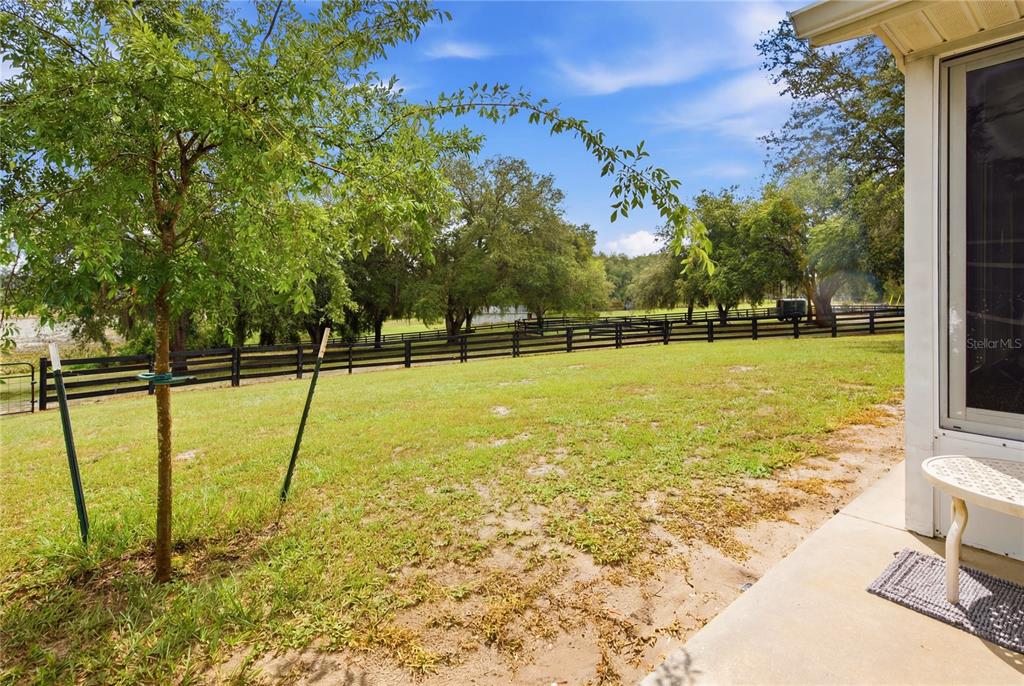 16723 Southeast 173rd Terrace Road Weirsdale, FL 32195 - Photo 27 of 43