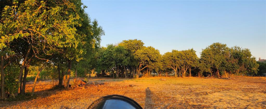 592 Pike Road Gunter, TX 75058 - Photo 20 of 40 View of yard