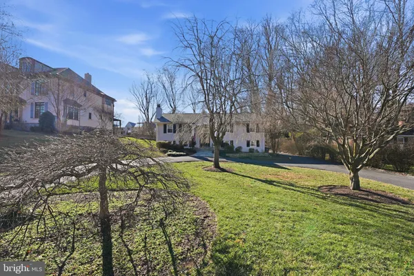 a view of yard with large tree