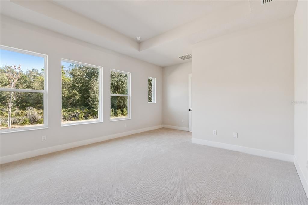 31479 Hayman Loop Wesley Chapel, FL 33545 - Photo 16 of 45 an empty room with windows