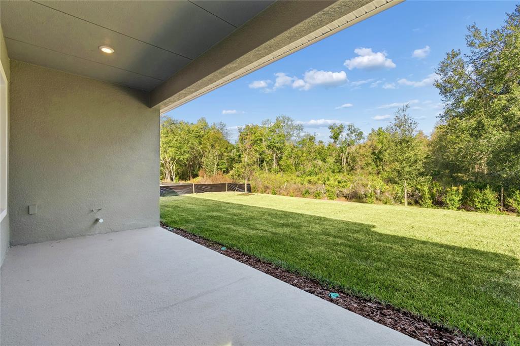 31479 Hayman Loop Wesley Chapel, FL 33545 - Photo 36 of 45 a view of outdoor space and yard