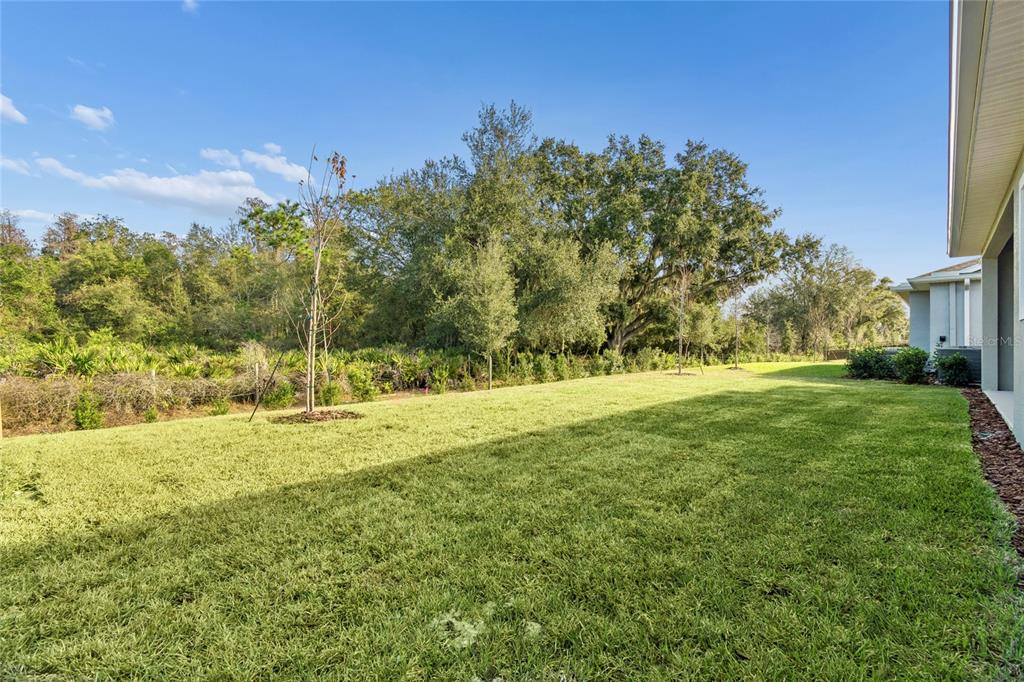 31479 Hayman Loop Wesley Chapel, FL 33545 - Photo 38 of 45 a view of a yard with a house in the background