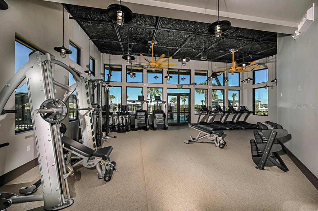 31479 Hayman Loop Wesley Chapel, FL 33545 - Photo 45 of 45 a view of a room with gym equipment