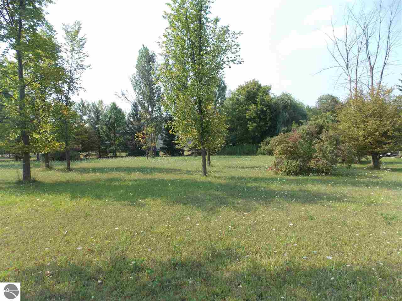 0 East Remus Road Mount Pleasant, MI 48858 - Photo 3 of 5