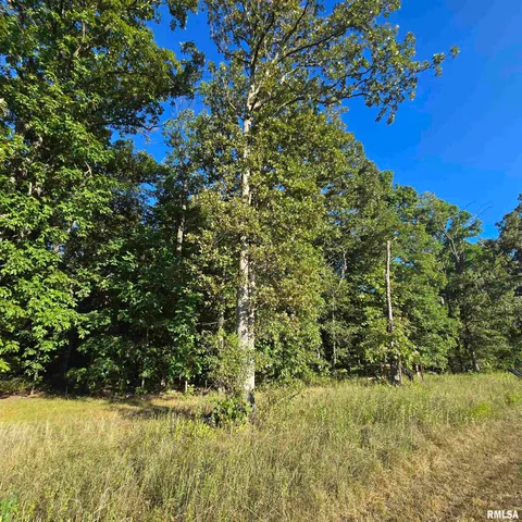 $625,000 | 9647 North Elmhears Lane, Mount Vernon, IL 62864