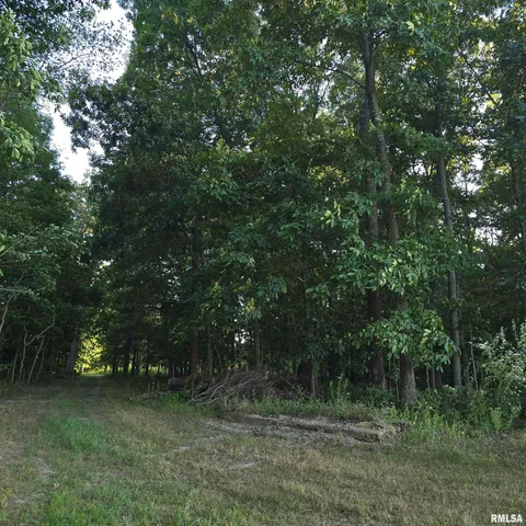 $625,000 | 9647 North Elmhears Lane, Mount Vernon, IL 62864