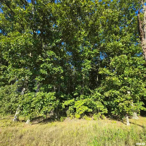 $625,000 | 9647 North Elmhears Lane, Mount Vernon, IL 62864