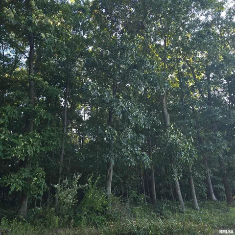 $625,000 | 9647 North Elmhears Lane, Mount Vernon, IL 62864