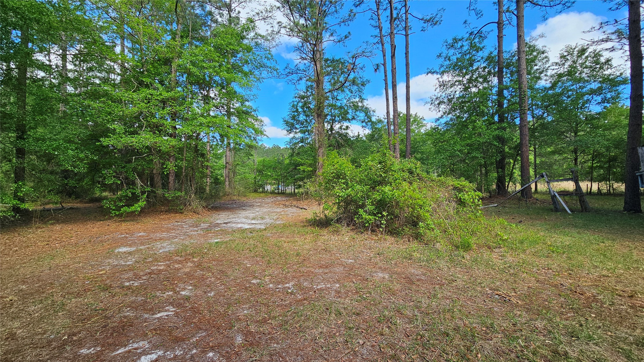6324 Lannie Road Jacksonville, FL 32218 - Photo 32 of 60