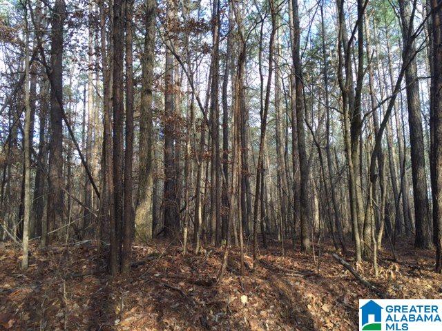 Story Road, Unit 201 Woodstock, AL 35188 - Photo 2 of 11
