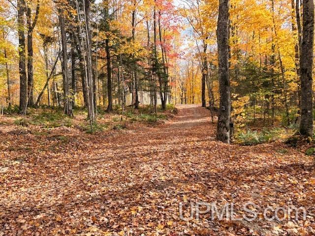 N7228 Rock River Road Deerton, MI 49822 - Photo 17 of 46