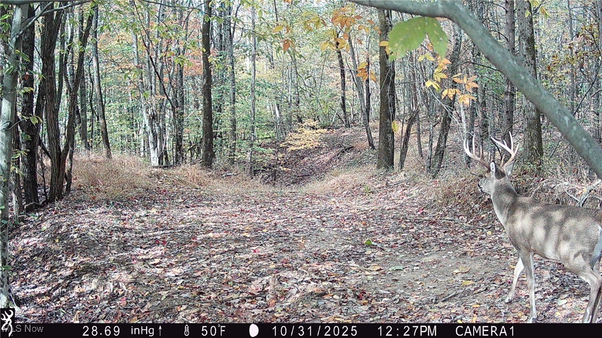 Perl Road Chandlersville, OH 43727 - Photo 30 of 48
