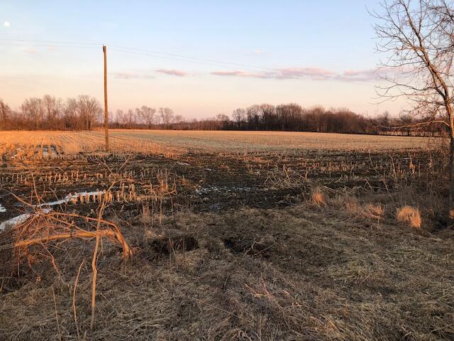 0 Francisco Road Union City, MI 49094 - Photo 3 of 4 IMG_7835