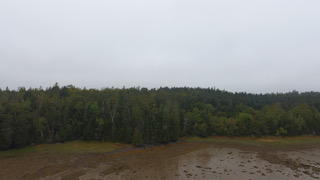 Tbd Lyons Road Lubec, ME 04652 - Photo 10 of 23 DJI_0230