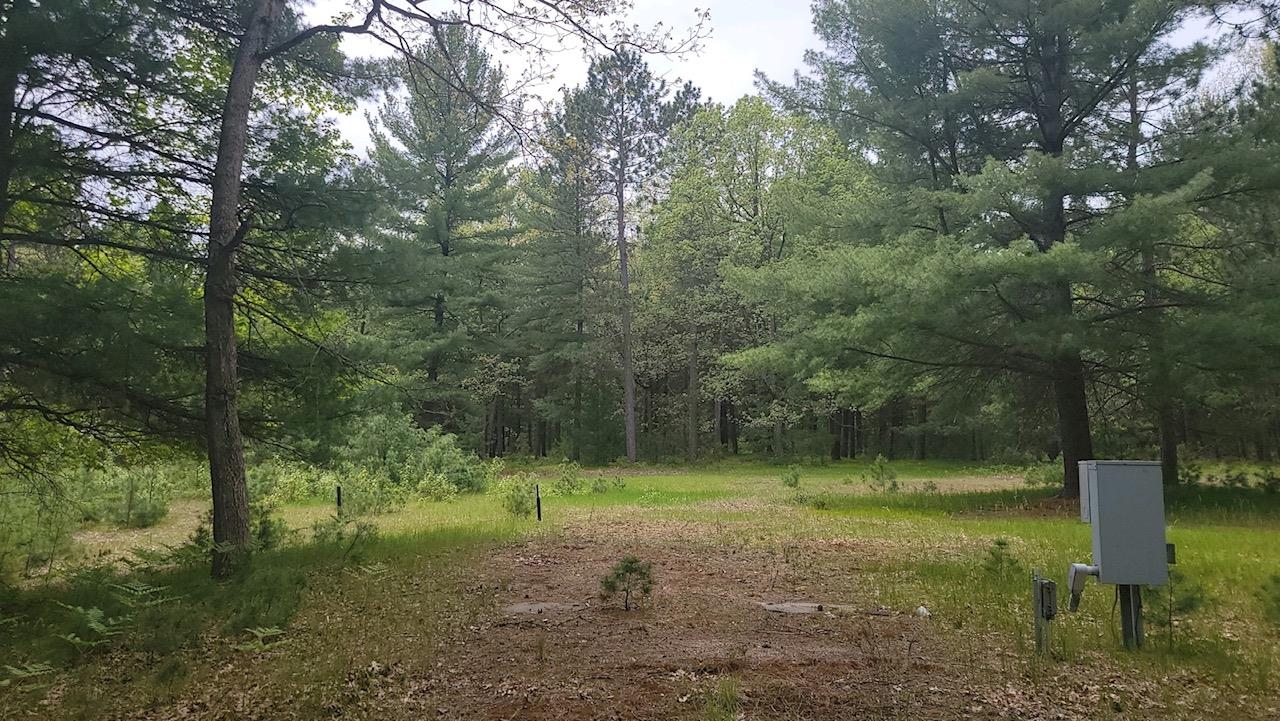 Xxx South Gladwin Road Prudenville, MI 48651 - Photo 9 of 10