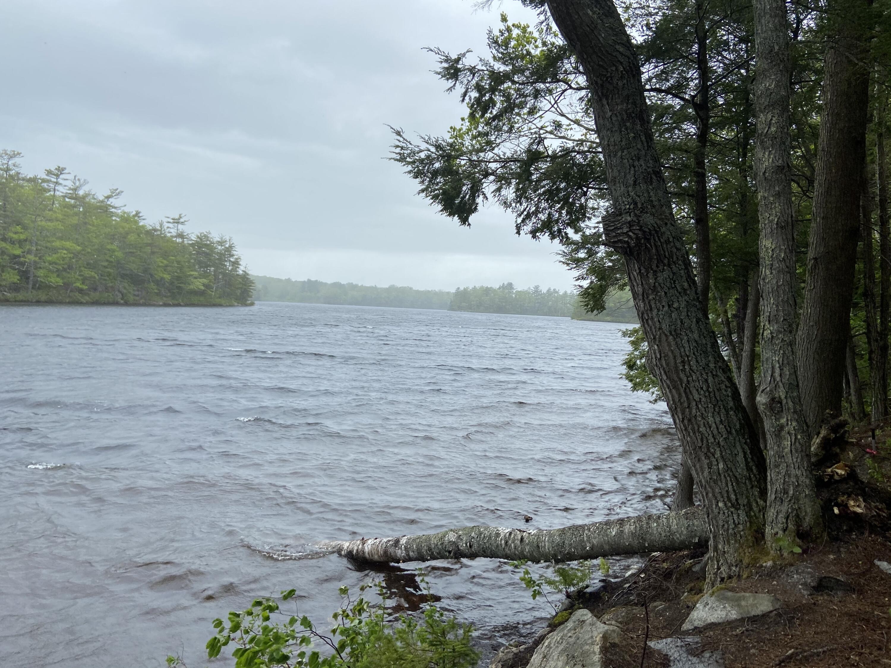 1 Will Butler Lane Bremen, ME 04551 - Photo 14 of 16 IMG_1397