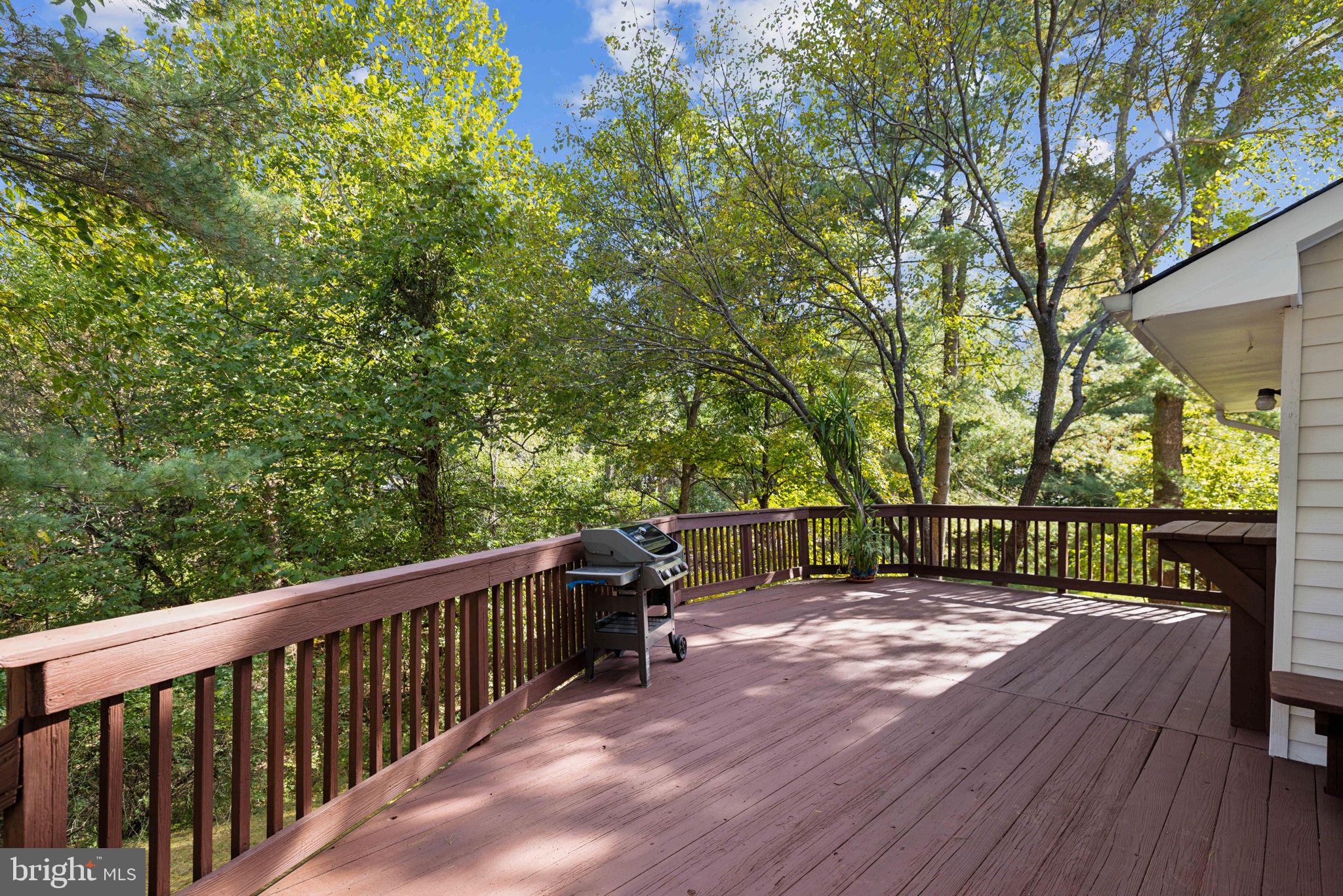 1729 Glastonberry Road Potomac, MD 20854 - Photo 11 of 32 Expansive Deck