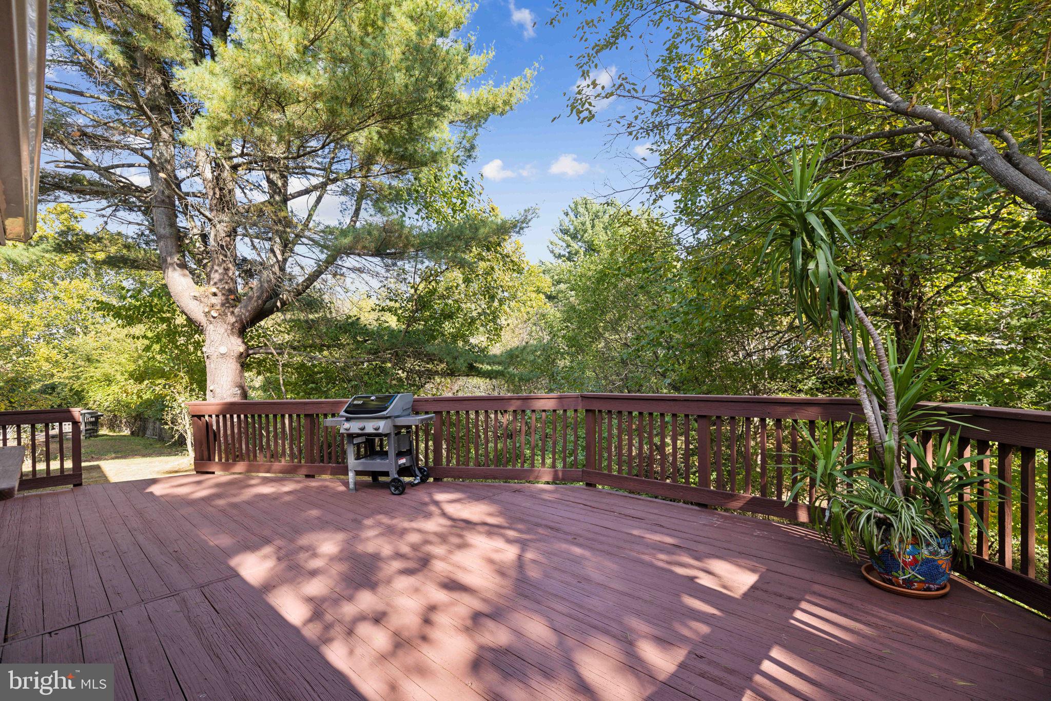 1729 Glastonberry Road Potomac, MD 20854 - Photo 12 of 32 Private Wooded View