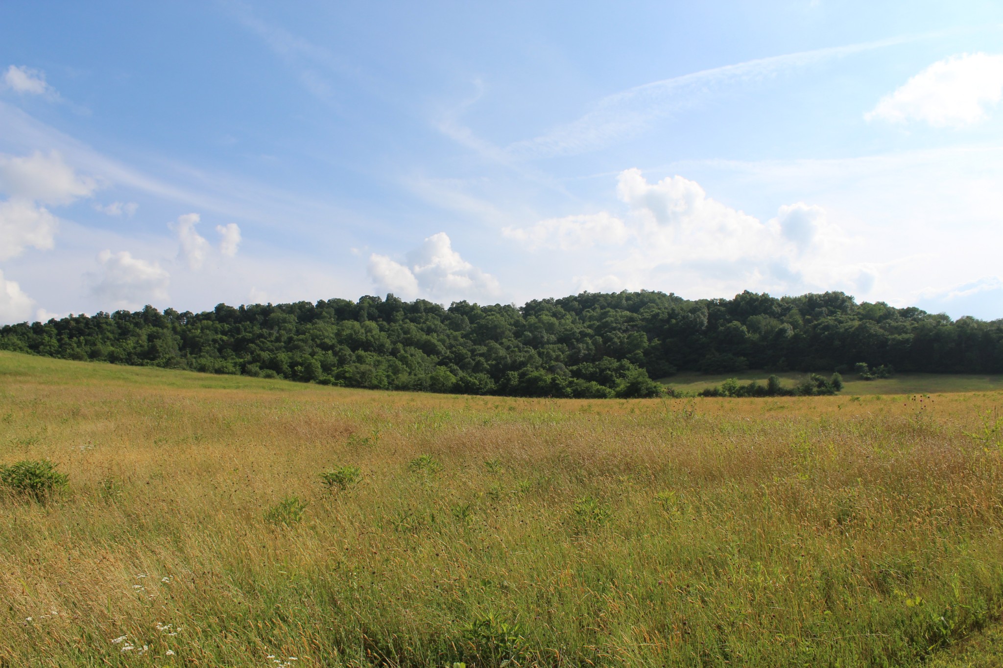2525 Browning Branch Road Bethpage, TN 37022 - Photo 32 of 35 Gallery Image 32