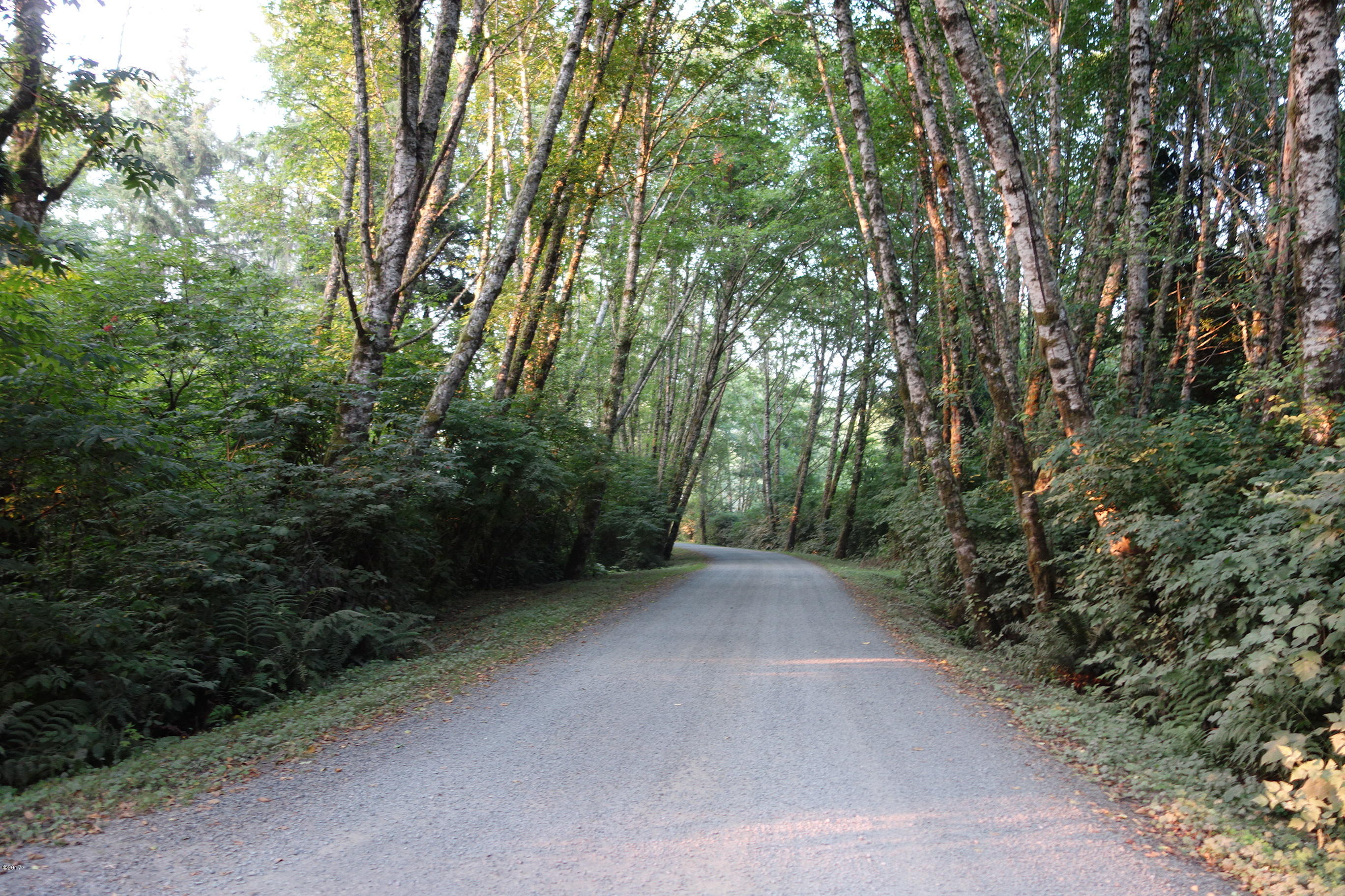 3501 South Beach Road Neskowin, OR 97149 - Photo 19 of 25 Approach