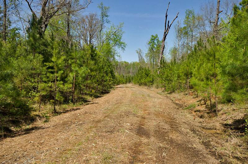 Chambers Road Rougemont, NC 27572 - Photo 4 of 7 Photo 4