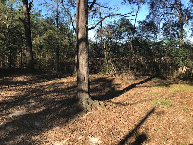 117 Beacons Bend Road Crestview, FL 32536 - Photo 4 of 30 a view of a yard with large tree