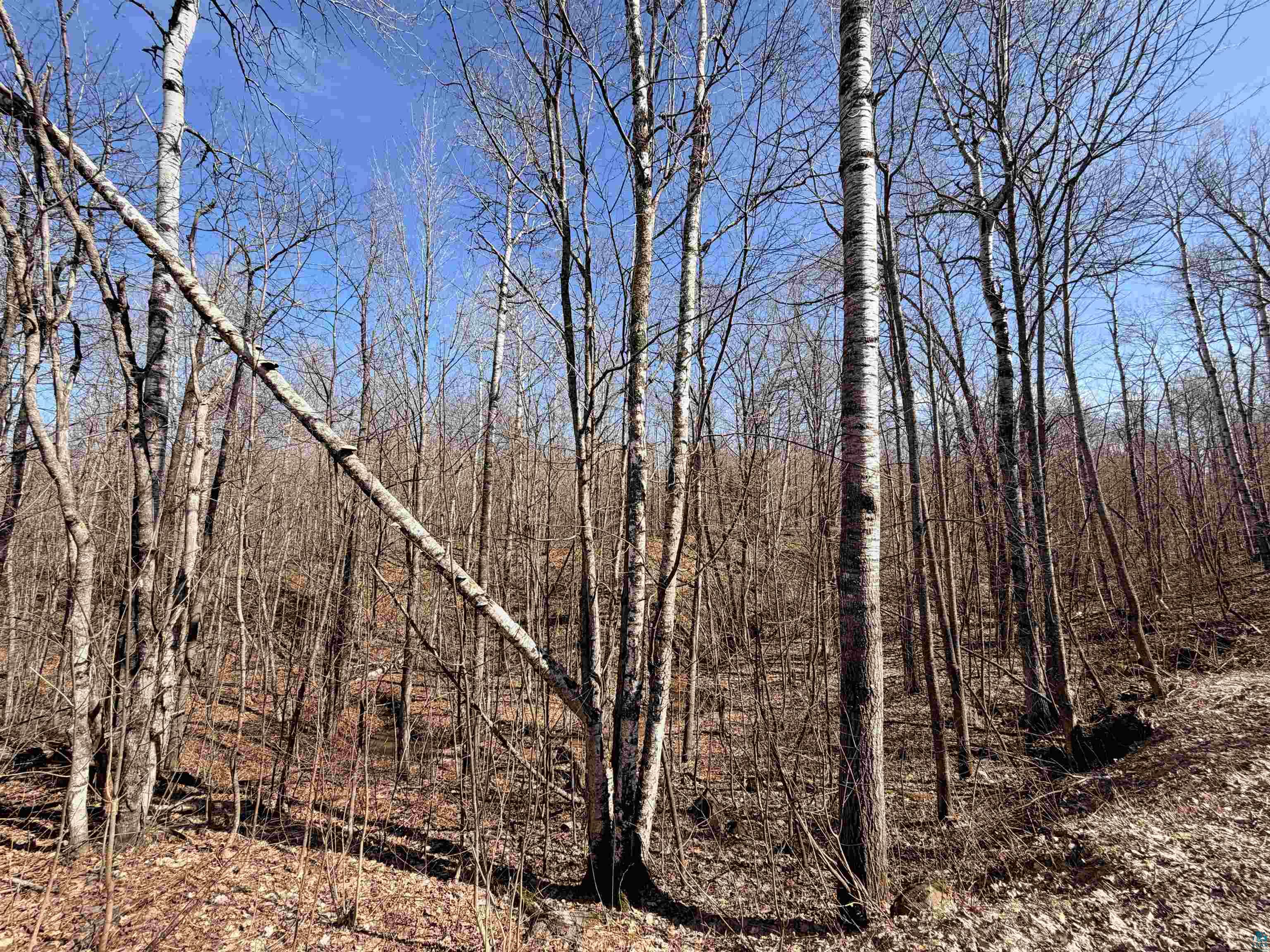 90-xxx Lamont Road Bayfield, WI 54814 - Photo 7 of 9