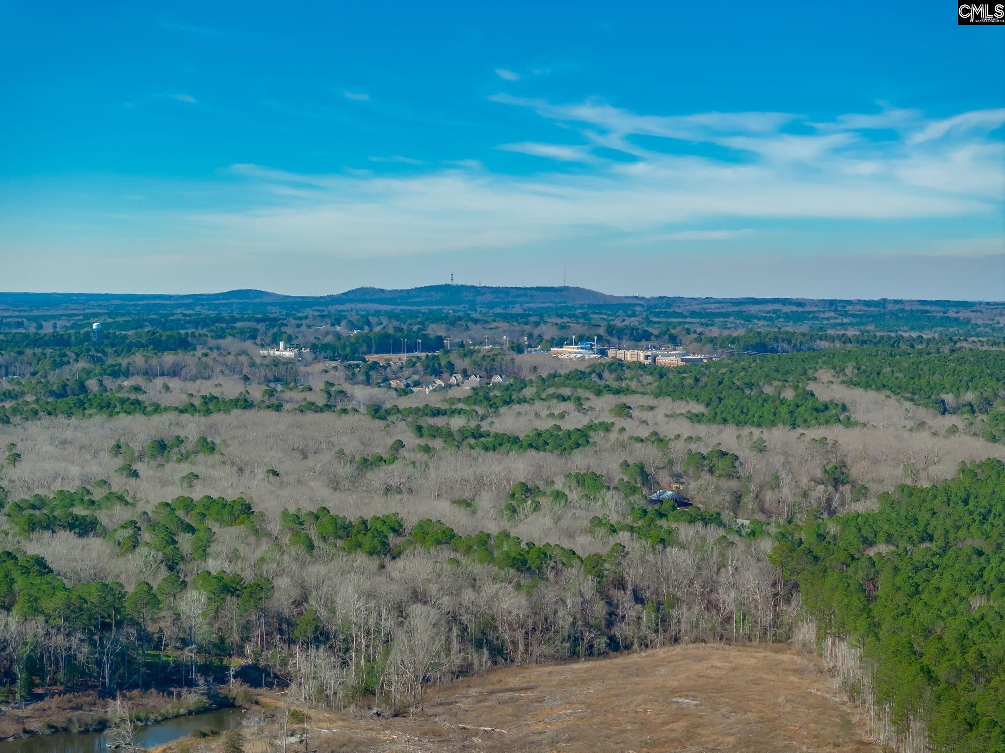 501 Crooked Creek Road Chapin, SC 29036 - Photo 12 of 28