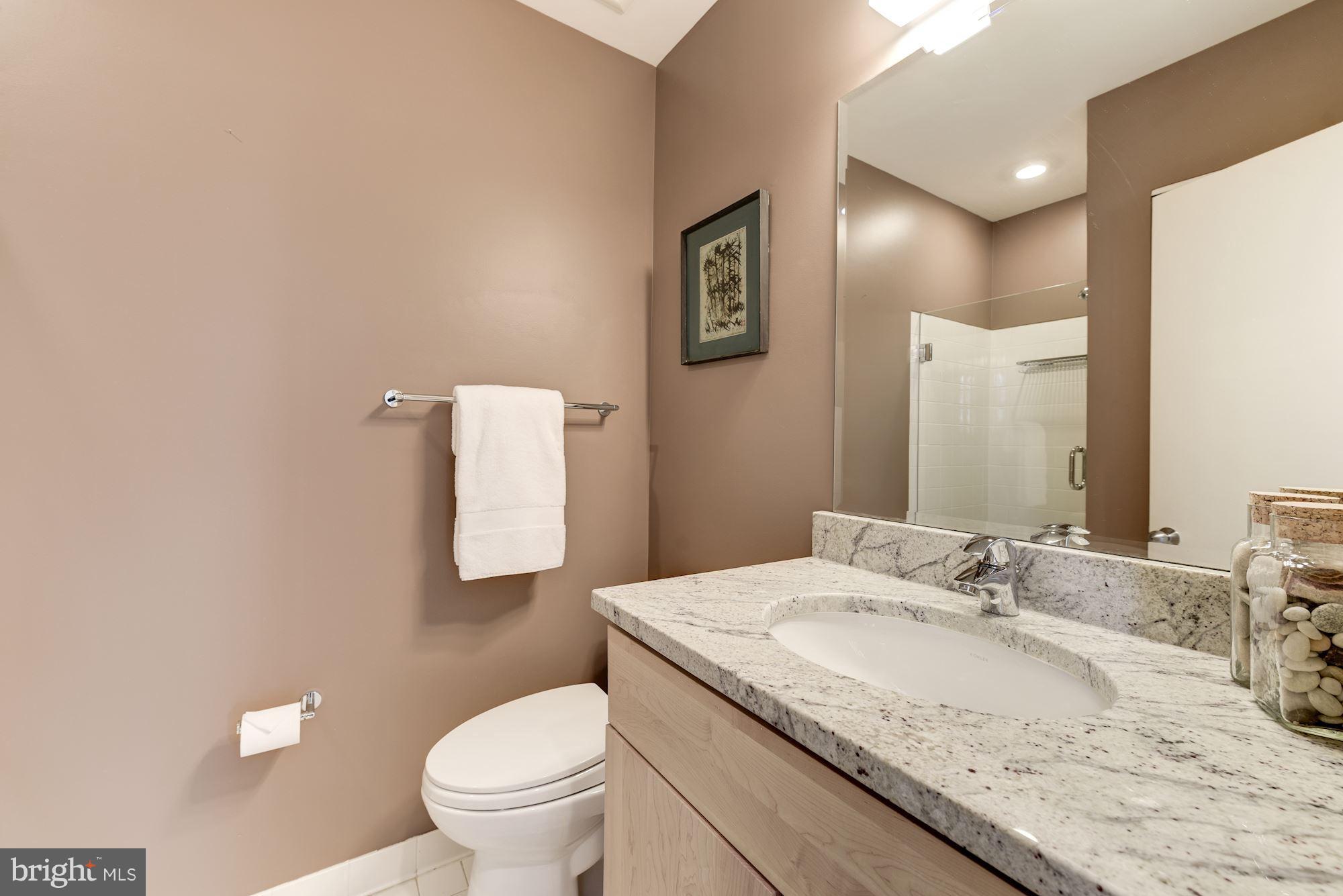 2263 Compass Point Lane Reston, VA 20191 - Photo 24 of 30 Lower level full bath with granite counters