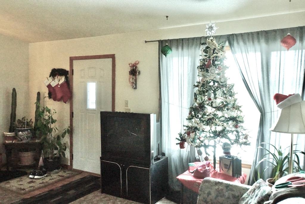 10295 West Remus Road Remus, MI 49340 - Photo 4 of 47 1870727-3.JPG