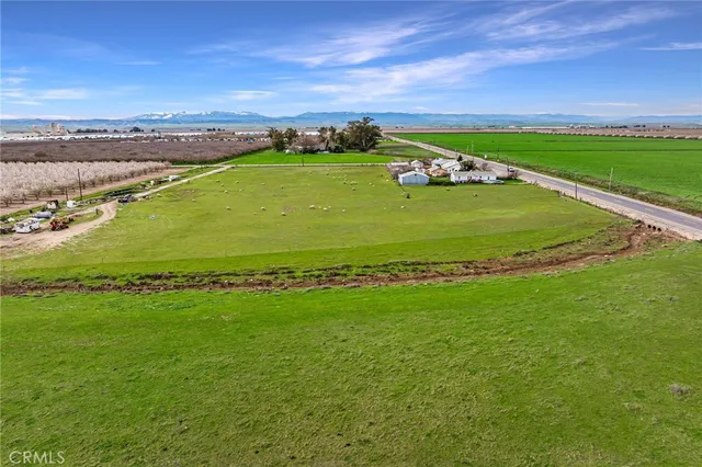 a view of a field with an ocean