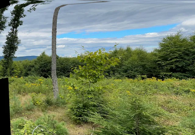 $199,000 | Lot #11 Jordan Heights Road, Cornish, ME 04020