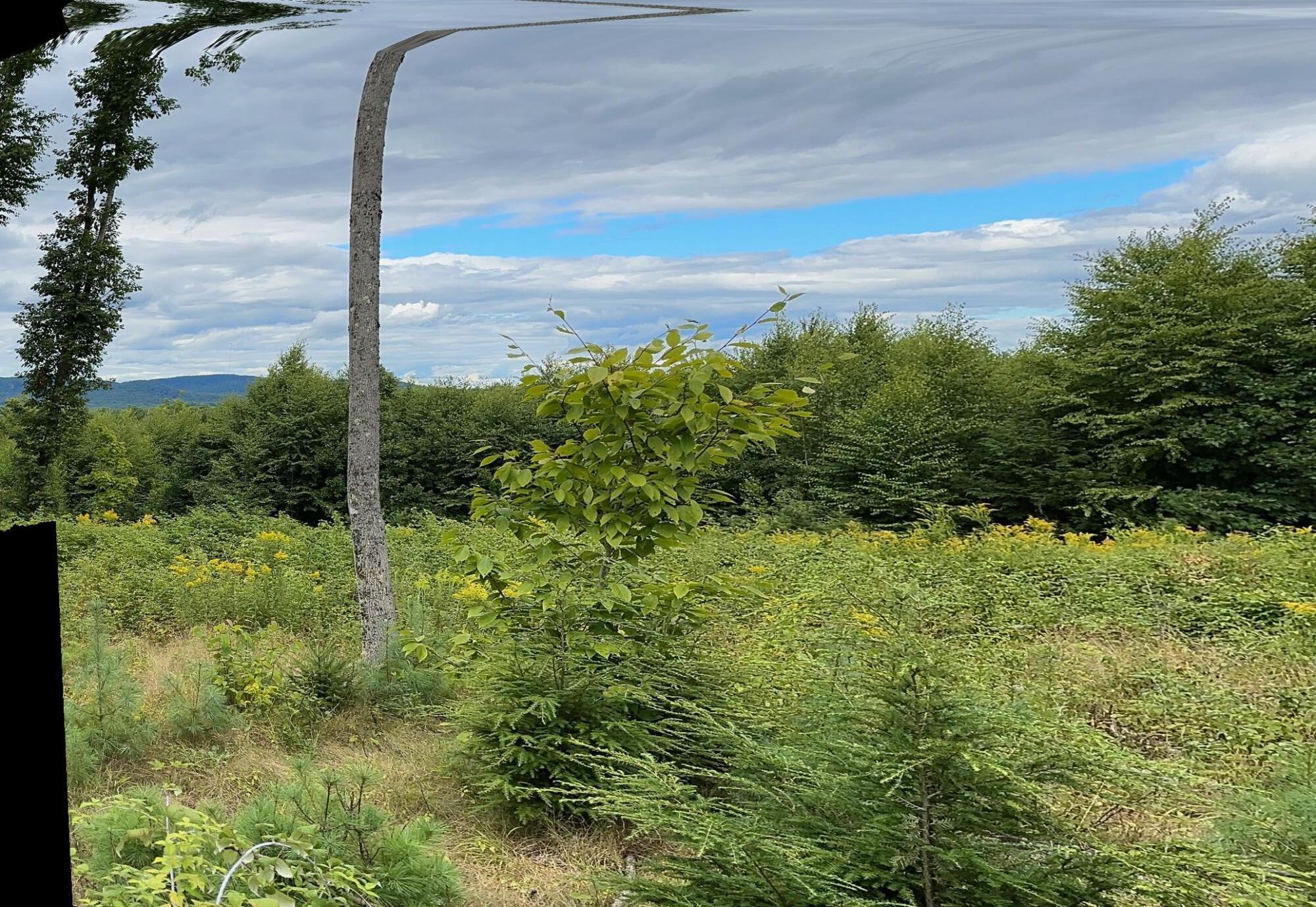 Lot #11 Jordan Heights Road Cornish, ME 04020 - Photo 1 of 7 IMG_0776