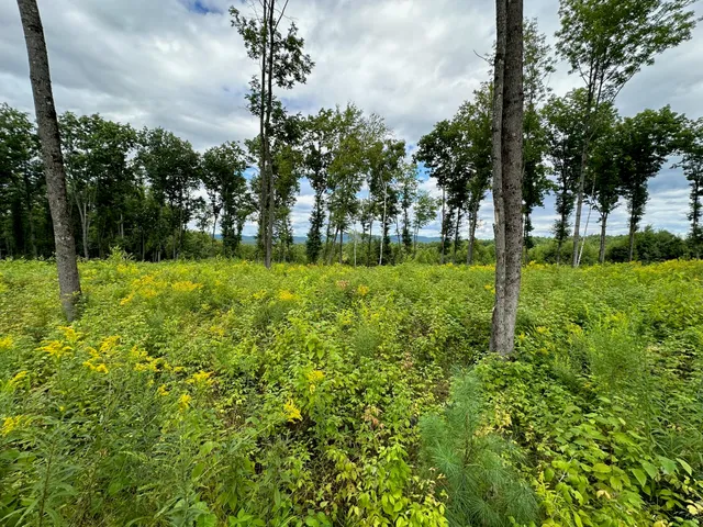 $199,000 | Lot #11 Jordan Heights Road, Cornish, ME 04020