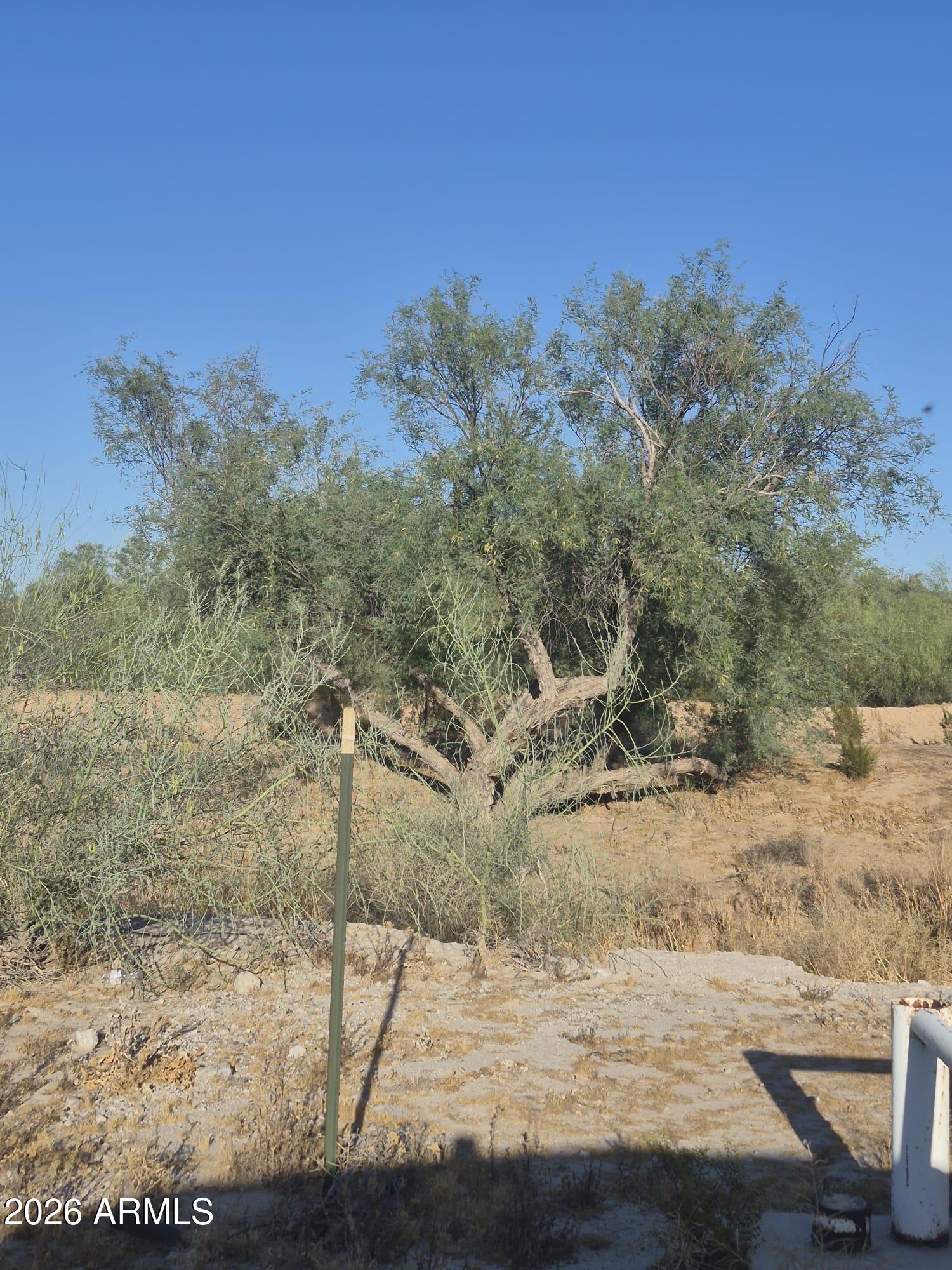 14751 South Airport Road Buckeye, AZ 85326 - Photo 7 of 20 bcee3da4-7a36-4128-83da-2f28b0e7b91f