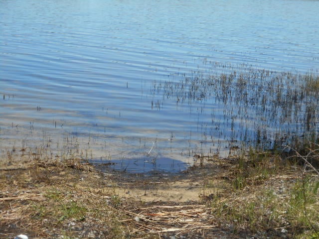 W18154 Neazor Point Road South Germfask, MI 49836 - Photo 20 of 30 Gallery Image 20