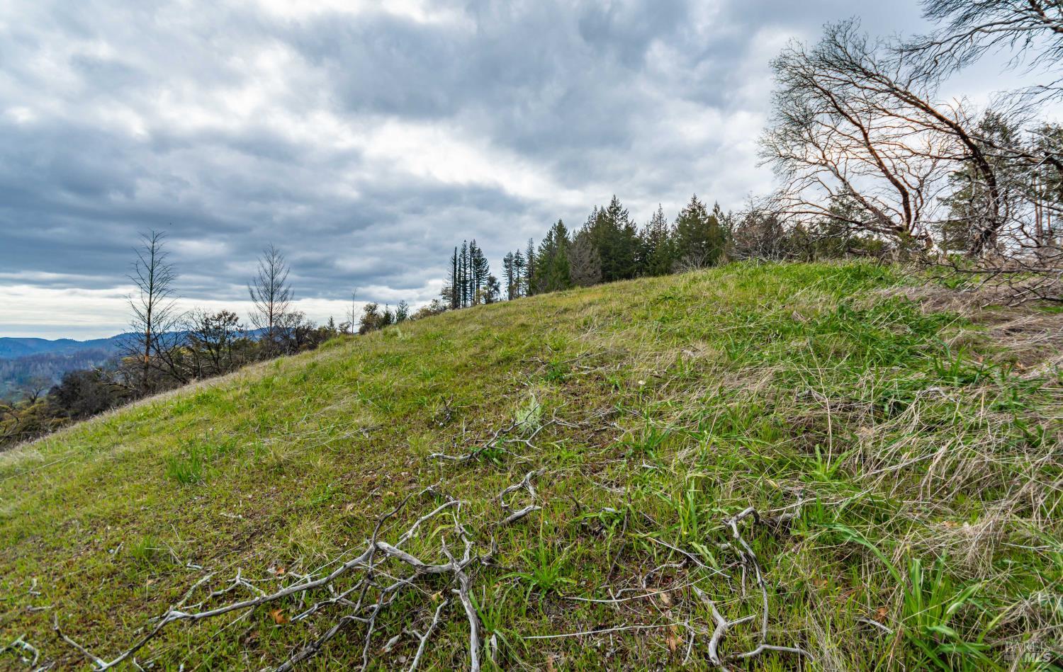 1401 Big Ridge Road Healdsburg, CA 95448 - Photo 63 of 86