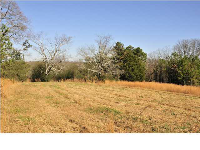 0 Hydas Lane Chattanooga, TN 37421 - Photo 3 of 9 Additional Photo