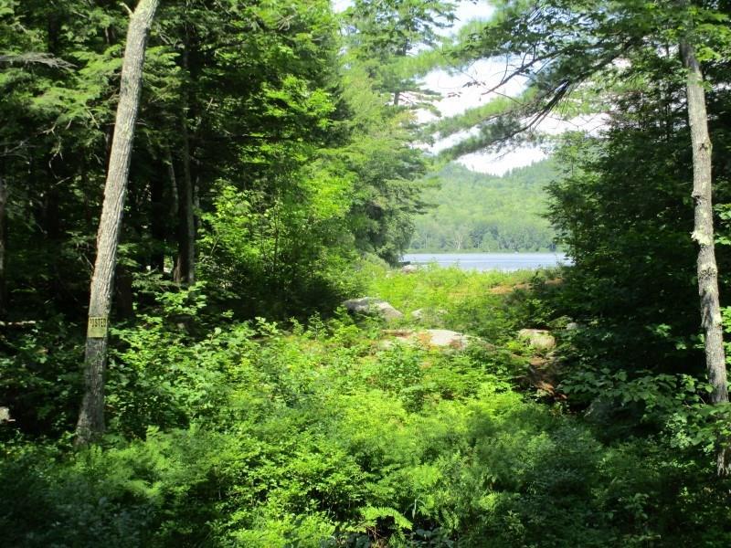 1178 Redding Road Sumner, ME 04292 - Photo 20 of 26 Photo