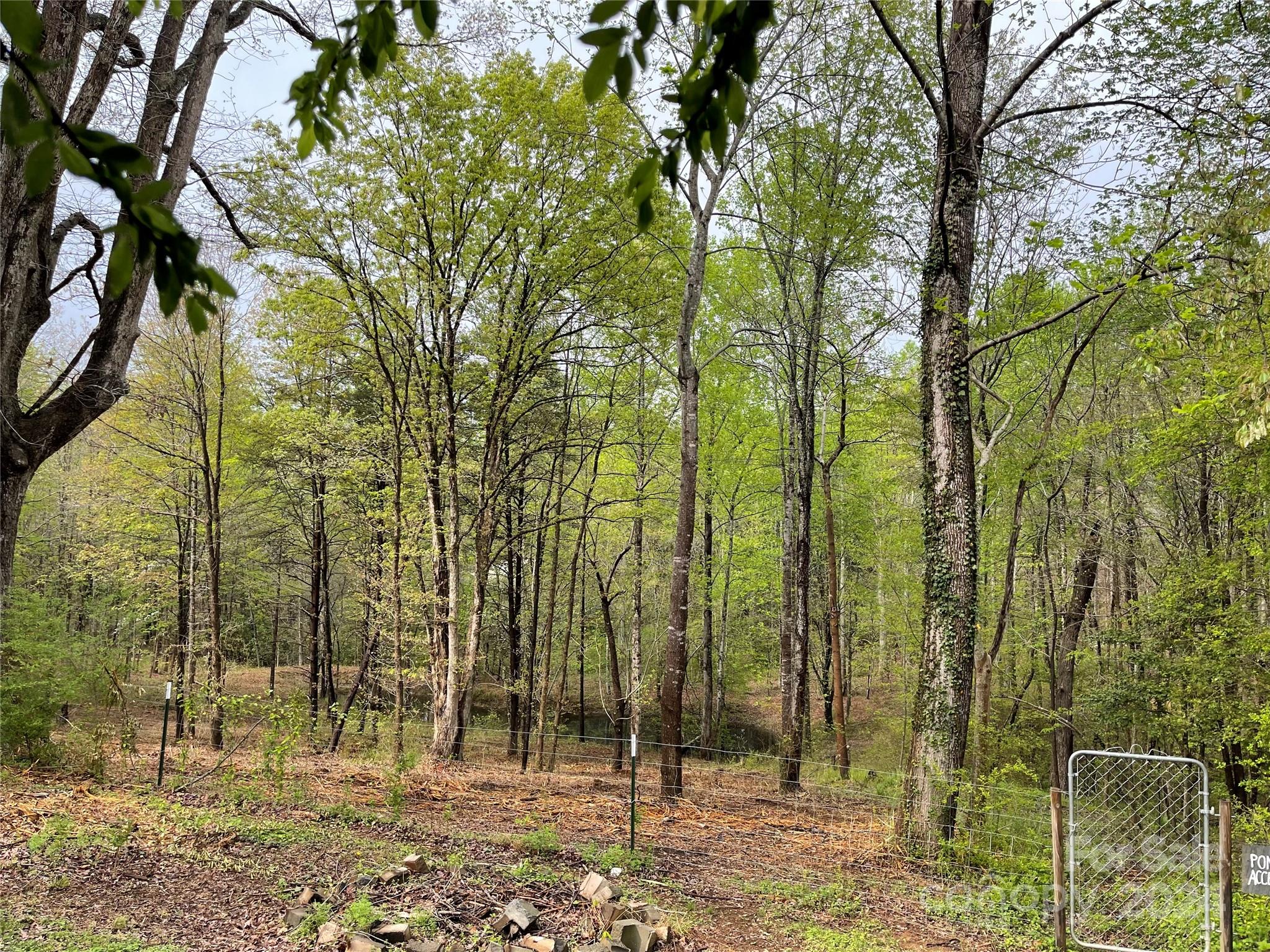 77 Medford Road Tryon, NC 28782 - Photo 11 of 48 a view of outdoor space and yard