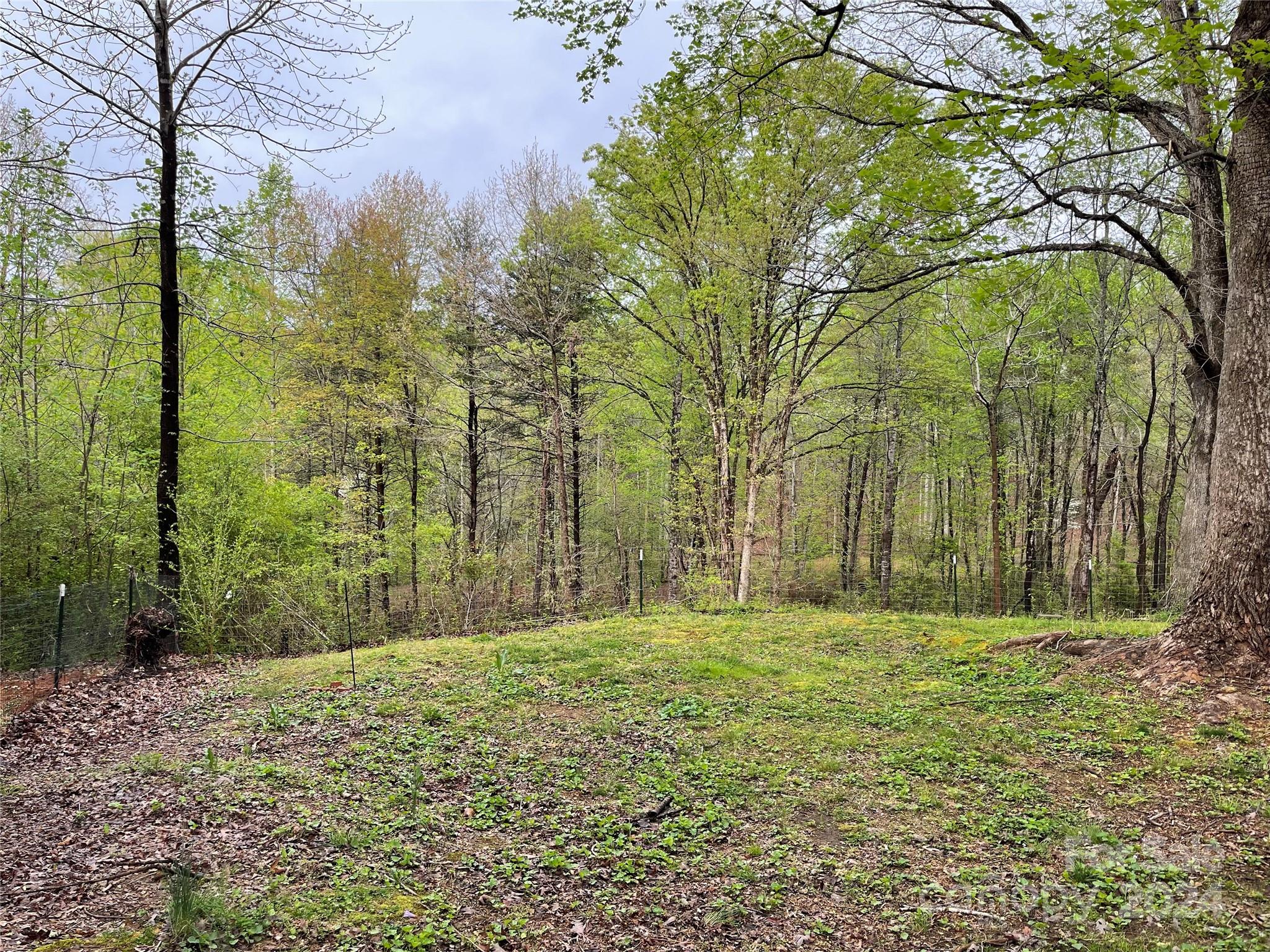 77 Medford Road Tryon, NC 28782 - Photo 10 of 48 a big yard with lots of green space and house in the back
