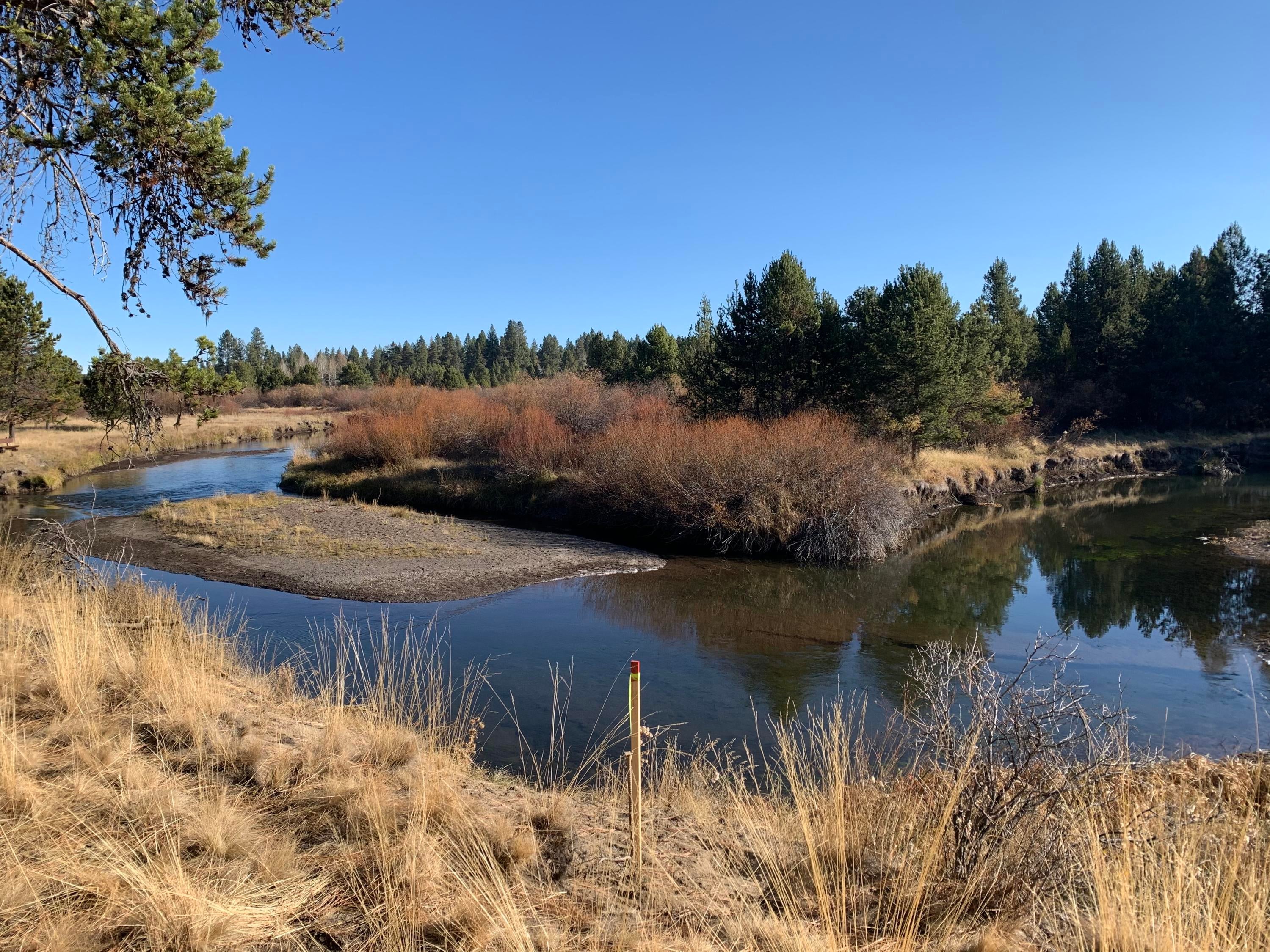 55855 Hashknife Road Bend, OR 97707 - Photo 4 of 14 IMG_2850