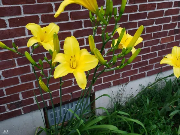 $419,977 | 7967 East 800 North, Falmouth, IN 46127