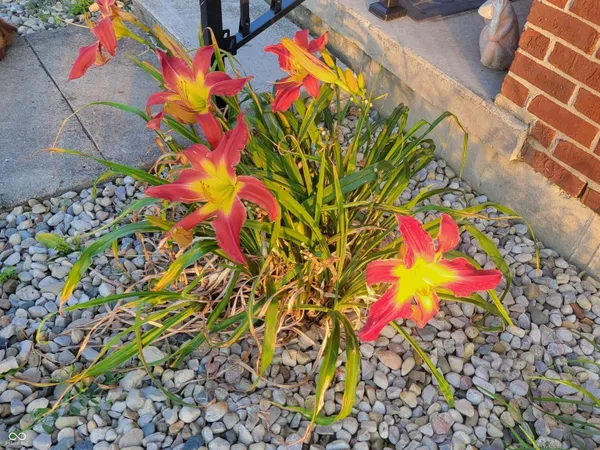 $419,977 | 7967 East 800 North, Falmouth, IN 46127