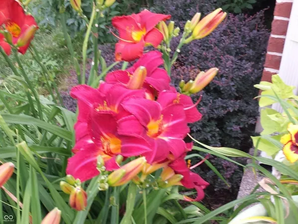 $419,977 | 7967 East 800 North, Falmouth, IN 46127