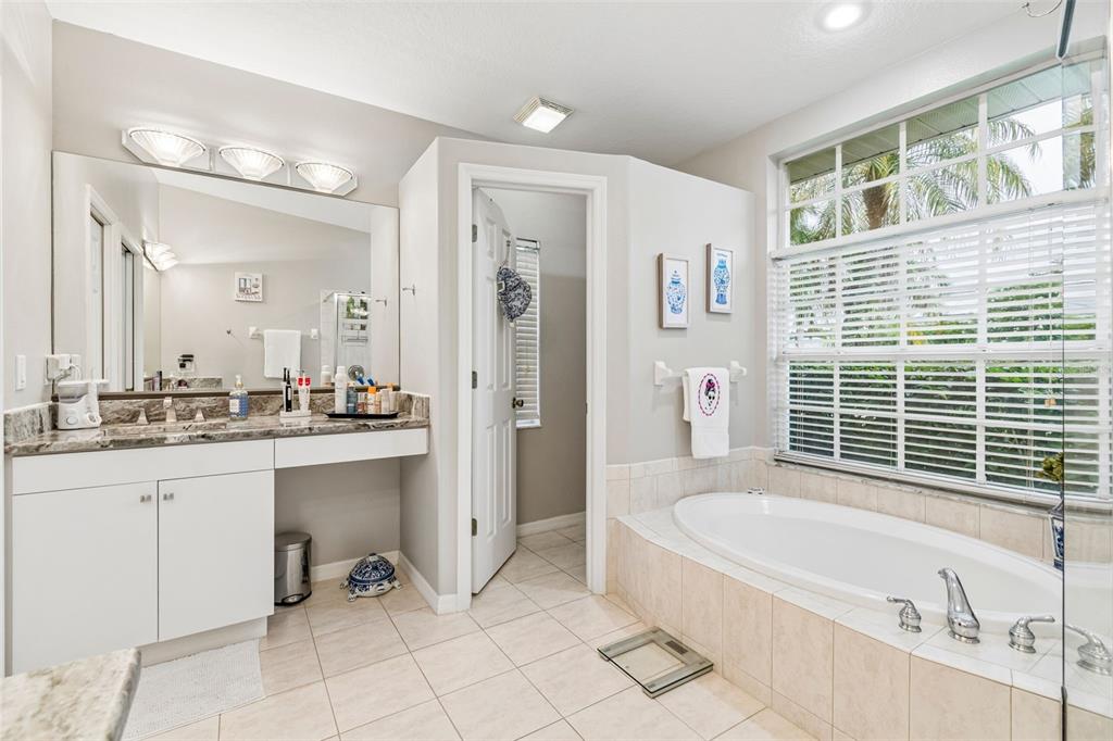2006 Meadow Rue Court Trinity, FL 34655 - Photo 38 of 96 a bathroom with a granite countertop tub sink shower and mirror