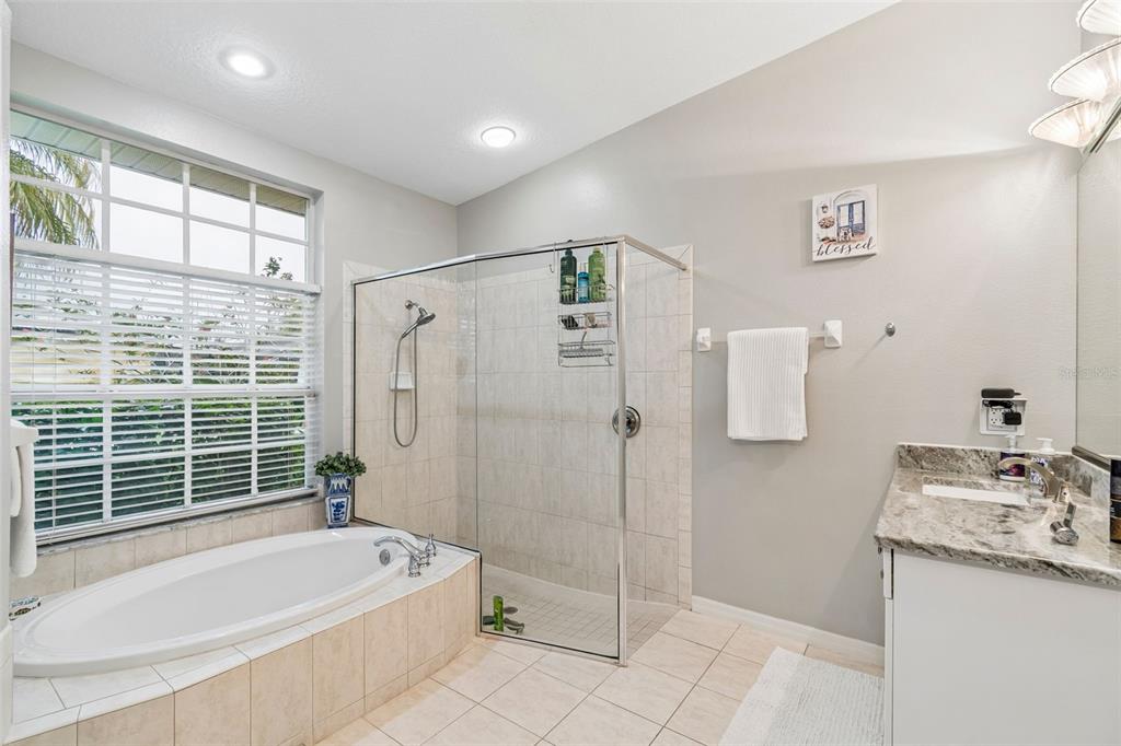 2006 Meadow Rue Court Trinity, FL 34655 - Photo 39 of 96 a bathroom with a granite countertop sink a bathtub and shower