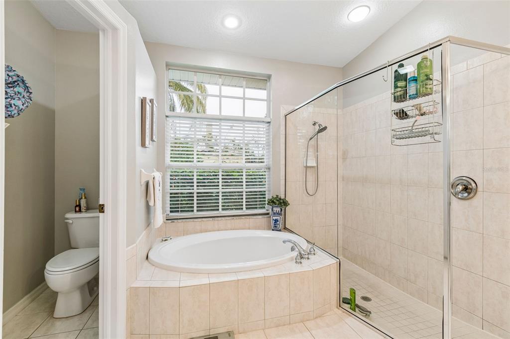 2006 Meadow Rue Court Trinity, FL 34655 - Photo 40 of 96 a bathroom with a granite countertop toilet a sink and a bathtub