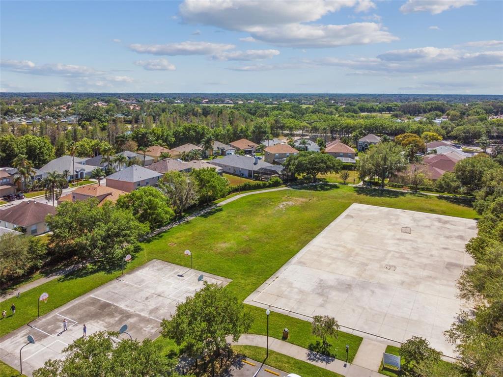 2006 Meadow Rue Court Trinity, FL 34655 - Photo 67 of 96
