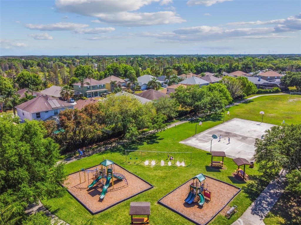 2006 Meadow Rue Court Trinity, FL 34655 - Photo 70 of 96